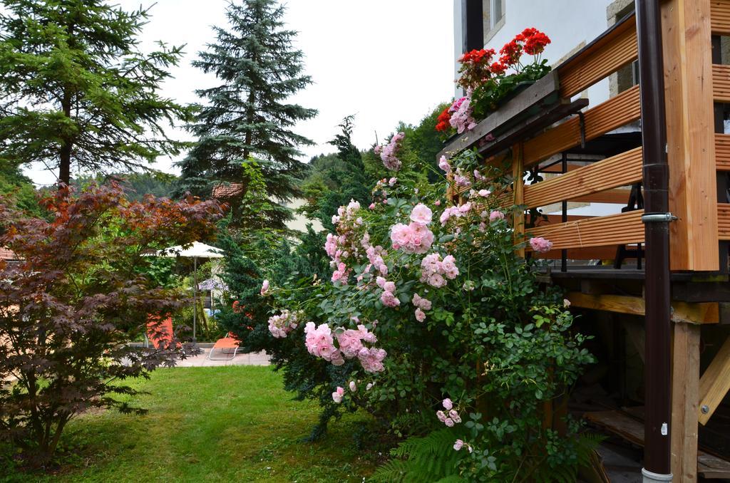 Apartment Sonnenhof Bad Schandau
