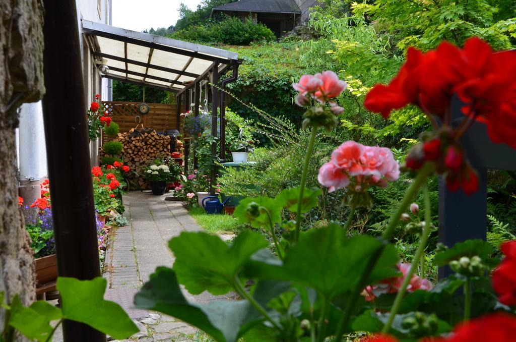 Sonnenhof Apartment Bad Schandau